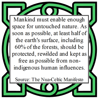 Nua-Celtic Manifesto 8.1.png