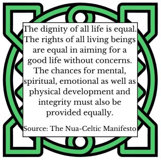 Nua-Celtic Manifesto 2.8-2.10.jpg