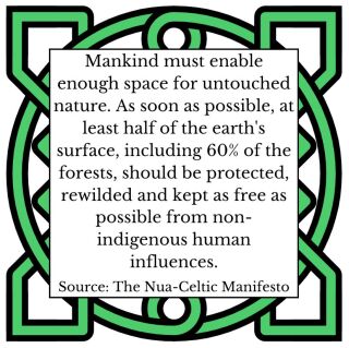 Nua-Celtic Manifesto 8.1.jpg