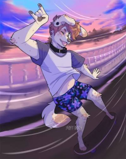 photo/106431cc-deb8-483a-8420-fbd928a92daf-3