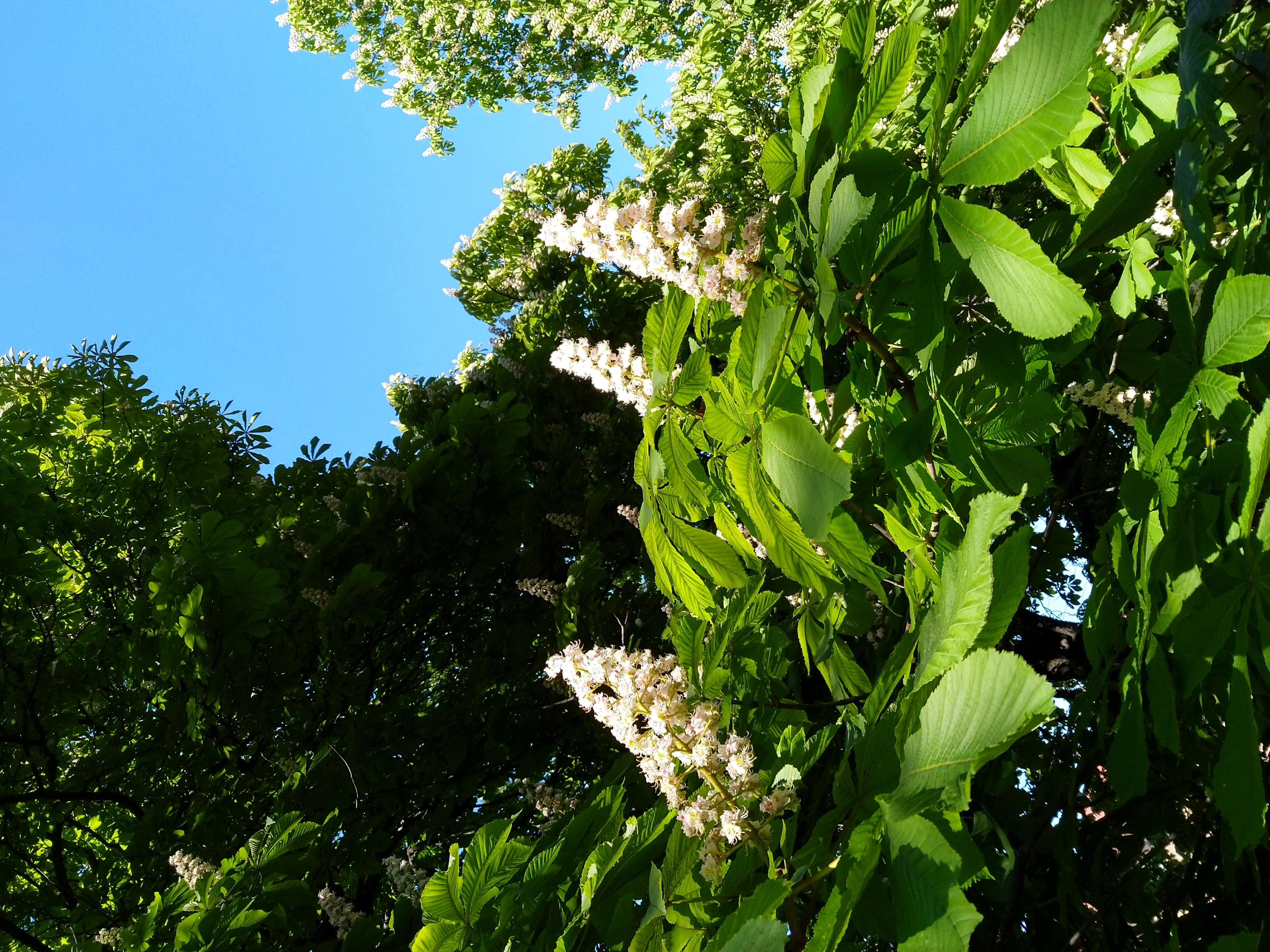 photo/151846cd-85f6-4b63-a464-03e975390c27-3