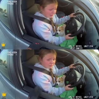 photo/1c001cbb-512b-4e35-a5e0-31d2a4d35781-3