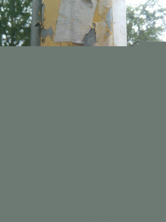 photo/2749ad5e779ef6428ffbd5e211a6d804e9f59388349b56155ef14da669d088b4-3