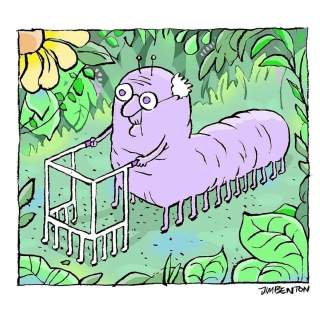 2025-09