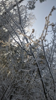 Парк 09.02.21