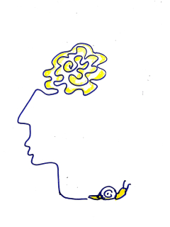 photo/318ccd4e-3e74-4e1d-bdb3-e887b7f91491-3