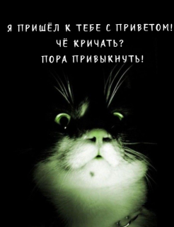 photo/38910256-8f61-47d1-939d-22156e34b185-3