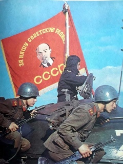 photo/4990ab95-0cca-429c-8948-393b972cc1e0-3