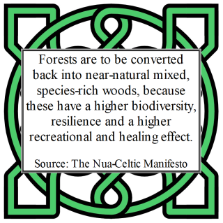 Nua-Celtic Manifesto 8.3.png