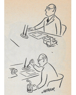 photo/545e4f26-4fee-47a0-bc4a-da6ebfc350a5-3