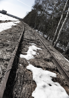 photo/550e2755-a4f0-4853-b3e9-ac612c097340-3