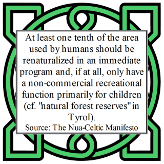Nua-Celtic Manifesto 8.2.png