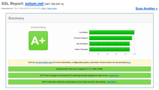 Screenshot_2018-12-11 SSL Server Test zotum net (Powered by Qualys SSL Labs).png
