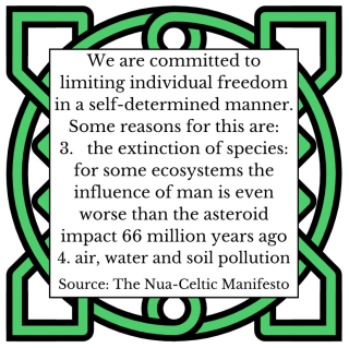 Nua-Celtic Manifesto 9.3.jpg