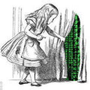 Root