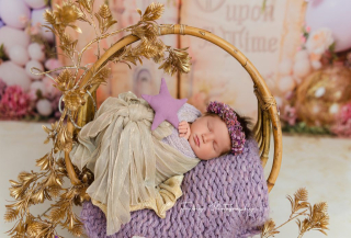 photo/74f63ff9-3a37-4efe-b437-650dbd800d1c-3