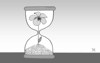 photo/7688f777-387e-47ec-acdf-61596f9d1766-3