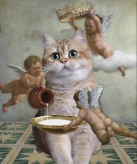photo/7e2fa7f9-cc8c-4c7f-aea7-867a47aa26ce-3