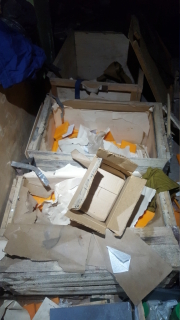 photo/7eb88712-aea5-4bb1-bf38-a62ec607a639-3