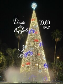 photo/7ef97bca-1396-4855-bc4e-6da3511218c8-3