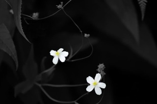 photo/820e04ba-59d5-4883-ba35-12c4fc9f62cb-3