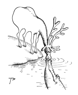 photo/8649ffae-0e08-4835-9de2-9cde7f8c5bba-3