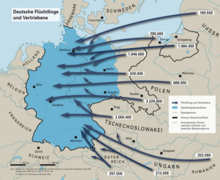 photo/88ba66f1-ff4c-492d-b811-a06569e05dd2-3