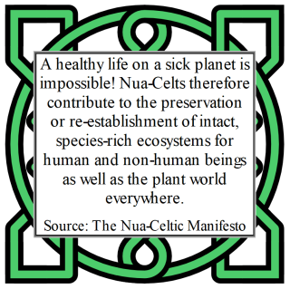 Nua-Celtic Manifesto 2.5-2.6.png