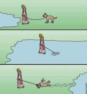 photo/9113ebf0-2d3d-4c4e-bb15-4a6d7e15b9a9-3