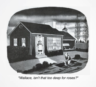 photo/975c61cf-7cca-4b86-ae1f-c54018f2506e-3