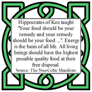 Nua-Celtic Manifesto 12.26.png