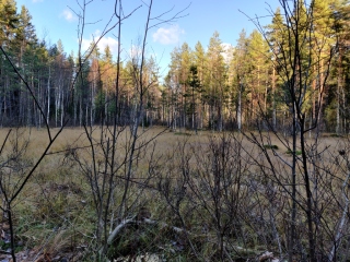photo/9f10ad84-35f6-4e18-94da-11b968dc2325-3