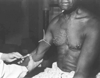 photo/9fdd0afb-8909-405e-b5aa-e930f67e7903-3