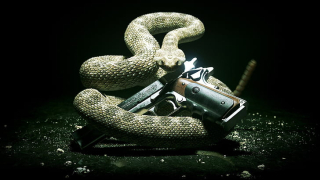 Snake Hitman