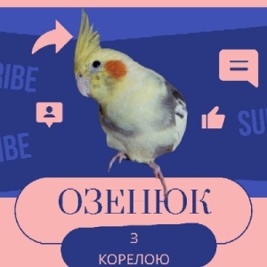 Озенюк