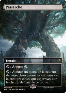 View Photo Passarche.png