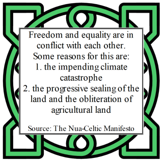 Nua-Celtic Manifesto 9.2(1).png