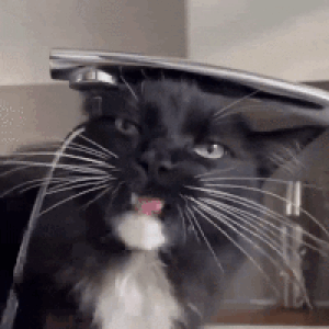 ＧＩＧＵ :verifiedtrans: