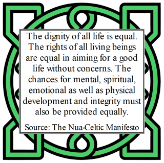 Nua-Celtic Manifesto 2.8-2.10.png