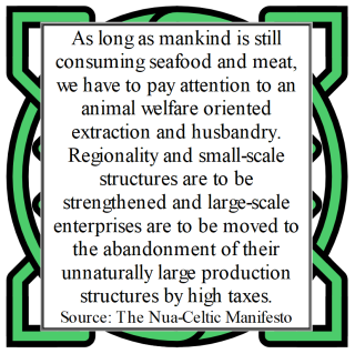 Nua-Celtic Manifesto 12.28.png