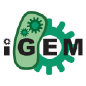 iGEM Foundation Channel