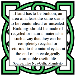 Nua-Celtic Manifesto 12.21.png