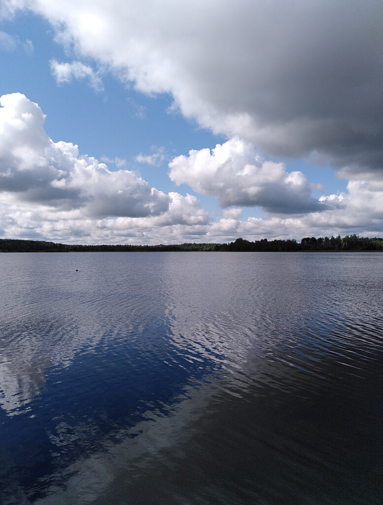 Photo taken on a sunny day. A lake with clear water under a blue sky with thick large white clouds. The sky and clouds are mirrored in the clear water. There is a forest at the distant horizon.