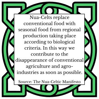 Nua-Celtic Manifesto 12.27.jpg