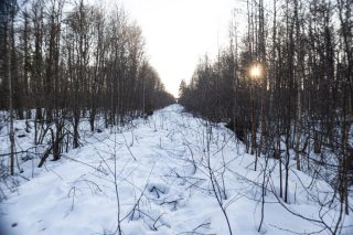 photo/e3cbc758-de5e-488b-8297-2e8e1fe1a12c-3
