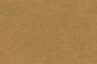 background-lg_edited.png