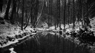 River-In-The-Snowy-Forest-HD-Wallpaper.jpg
