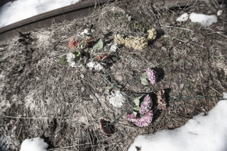 photo/f4acdcbd-e6c3-4535-a7a0-cfe03b4719f1-3